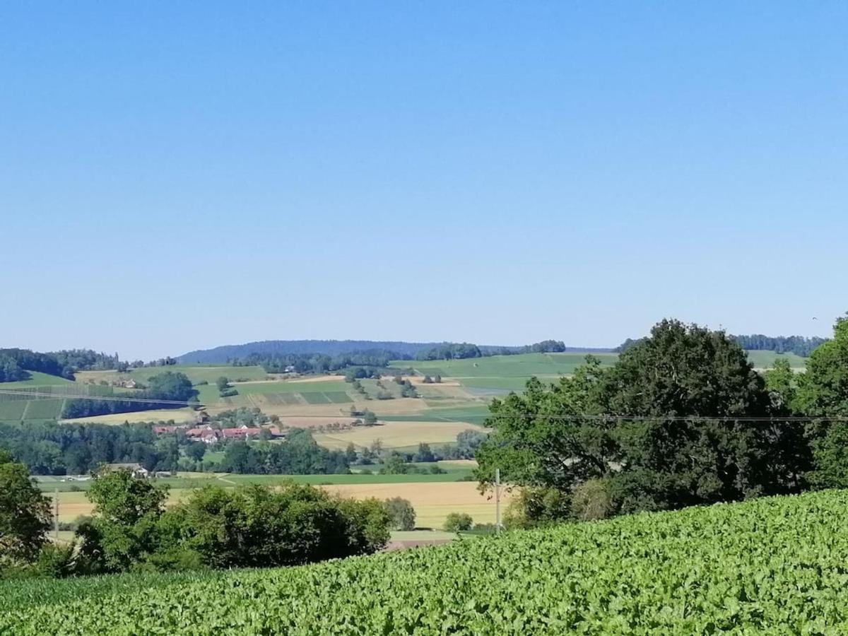 Thalheim an der ThurA Casa公寓 外观 照片