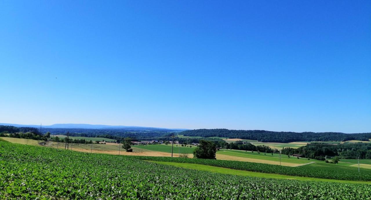 Thalheim an der ThurA Casa公寓 外观 照片
